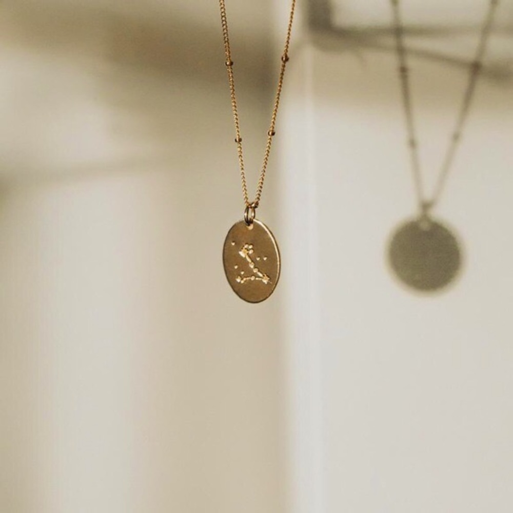 Pisces Bohemian Zodiac Minimalist Charm Necklace - Picture 12 of 13